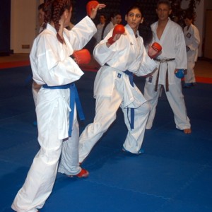 alt_1Karate Okulu: Ersoy Cırlar Karate Akademisi