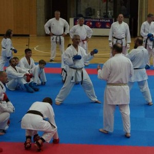 alt_1Karate Okulu: Ersoy Cırlar Karate Akademisi