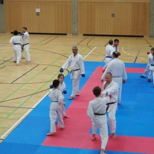 alt_1Karate Okulu: Ersoy Cırlar Karate Akademisi