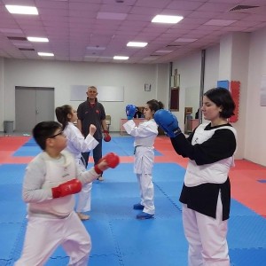alt_1Karate Okulu: Ersoy Cırlar Karate Akademisi