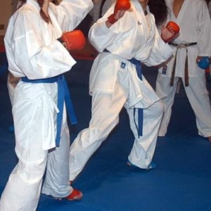 alt_1Karate Okulu: Ersoy Cırlar Karate Akademisi